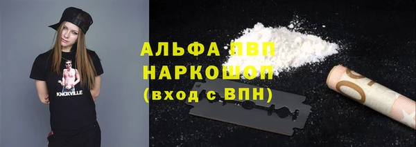 эйфоретик Баксан