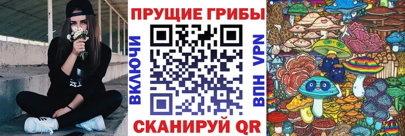 Галлюциногенные грибы мицелий  маркетплейс клад  Новая Ляля  ОМГ ОМГ как войти 